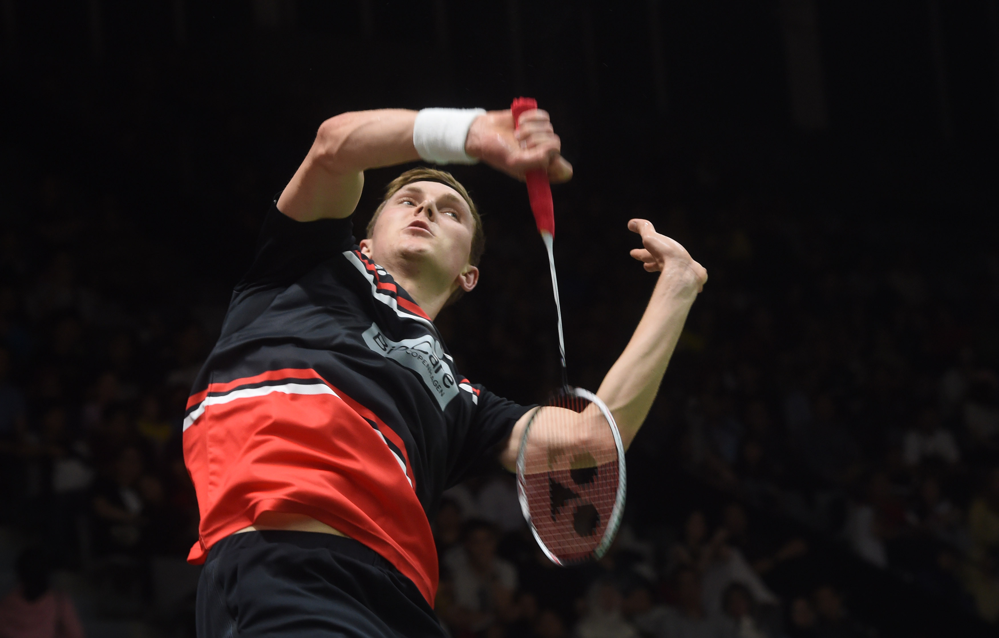 或许并没有 或许并没有