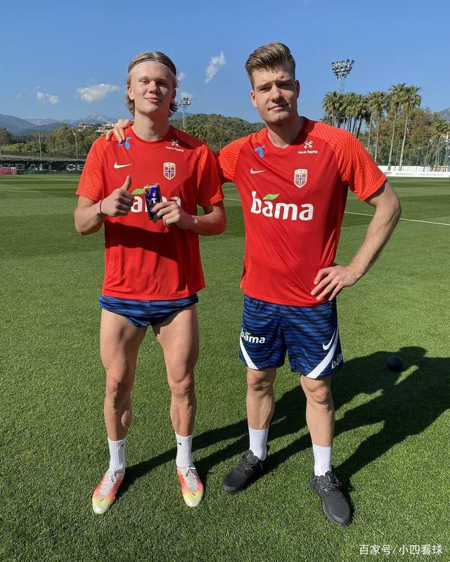 阵容与替代 阵容与替代